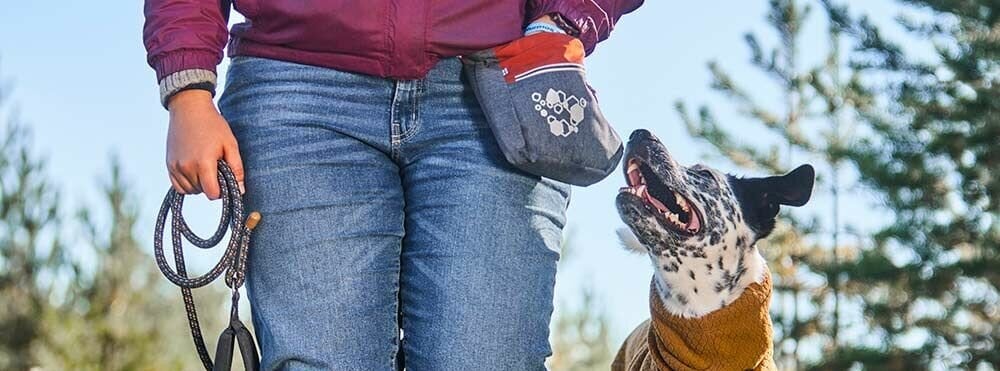 Hund går med sin ägare som har en godisväska på höften