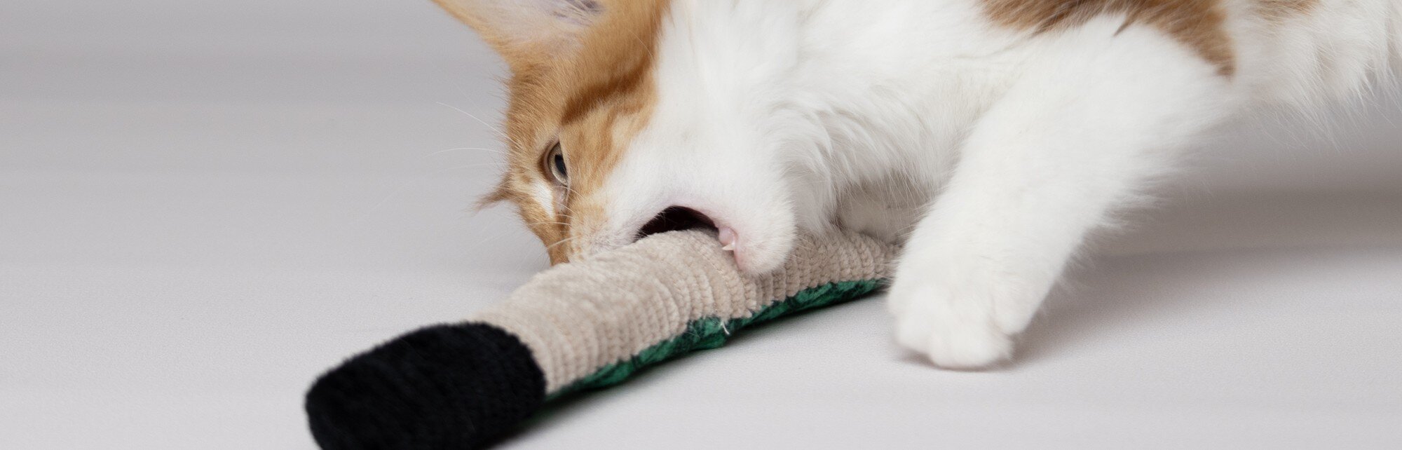 Katt leker med en kattleksak med kattmynta