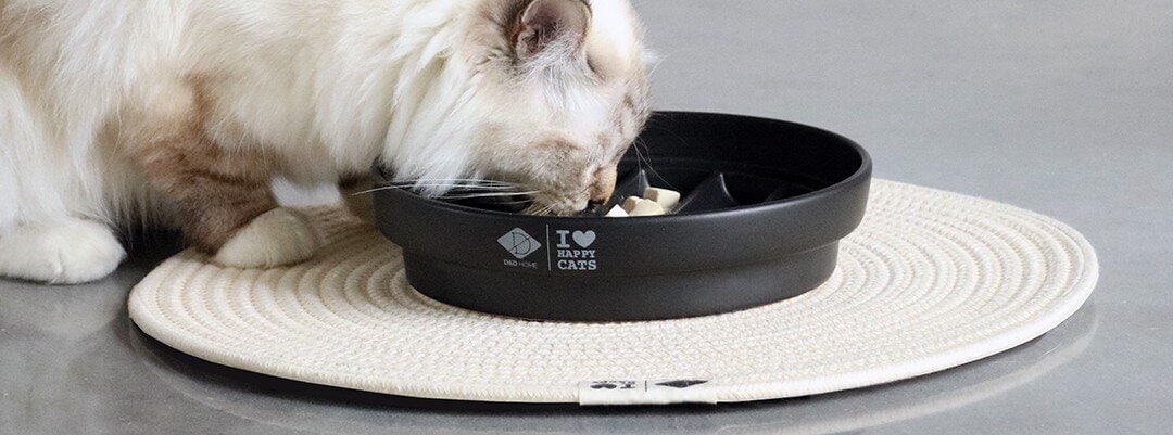 Katt äter ur en skål som står på ett underlägg