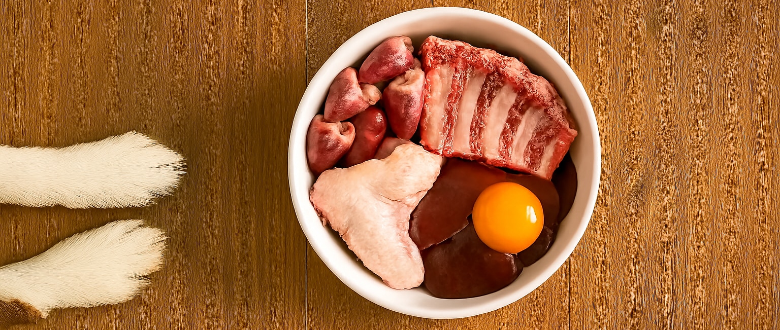 Färskfoder i en vit keramikskål