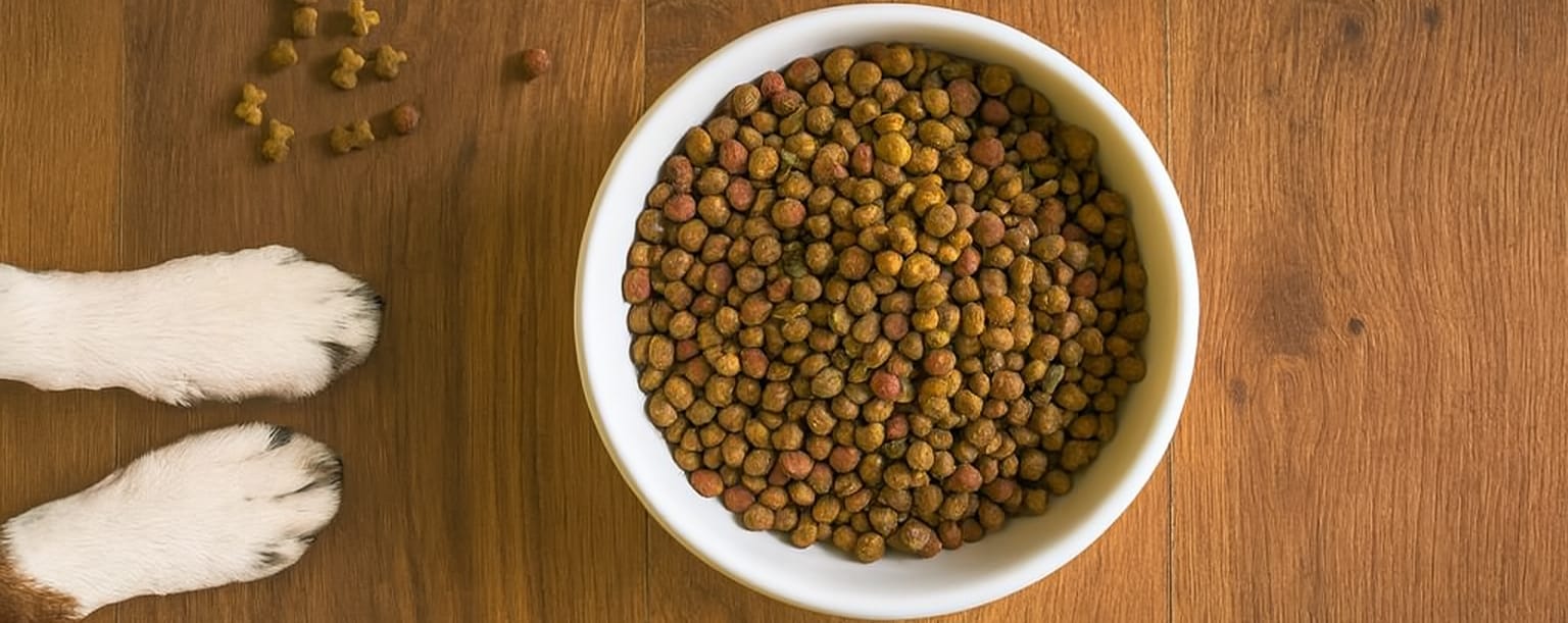 Torrfoder i vit skål