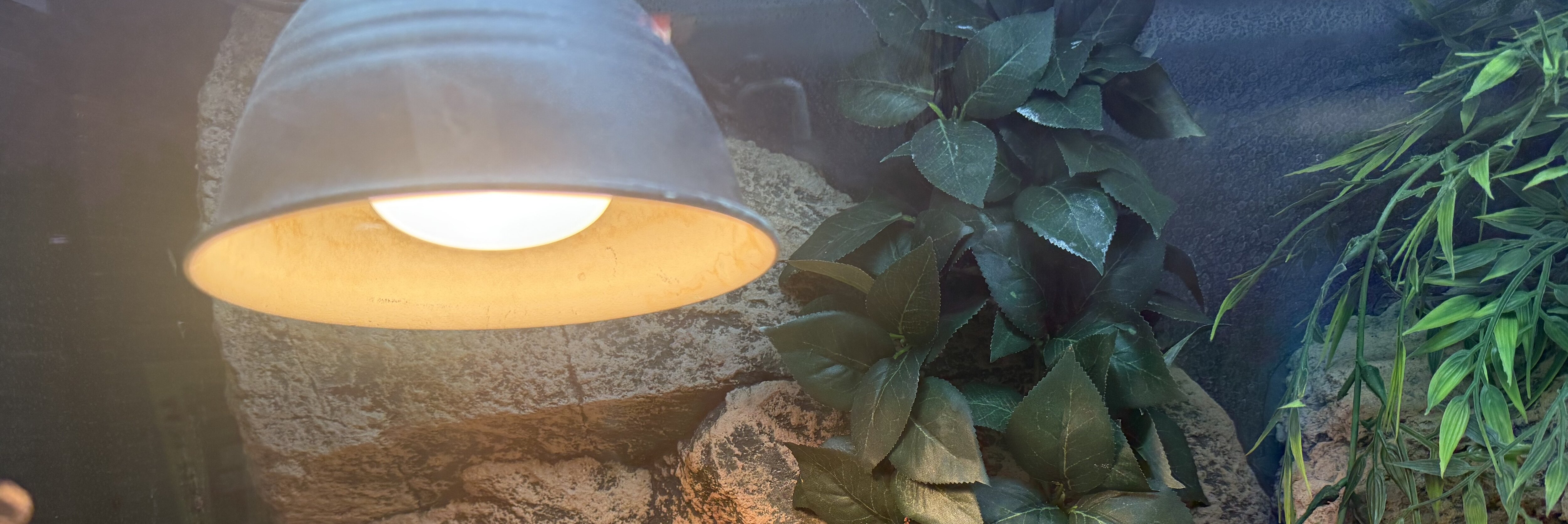 Terrarium med lamphållare