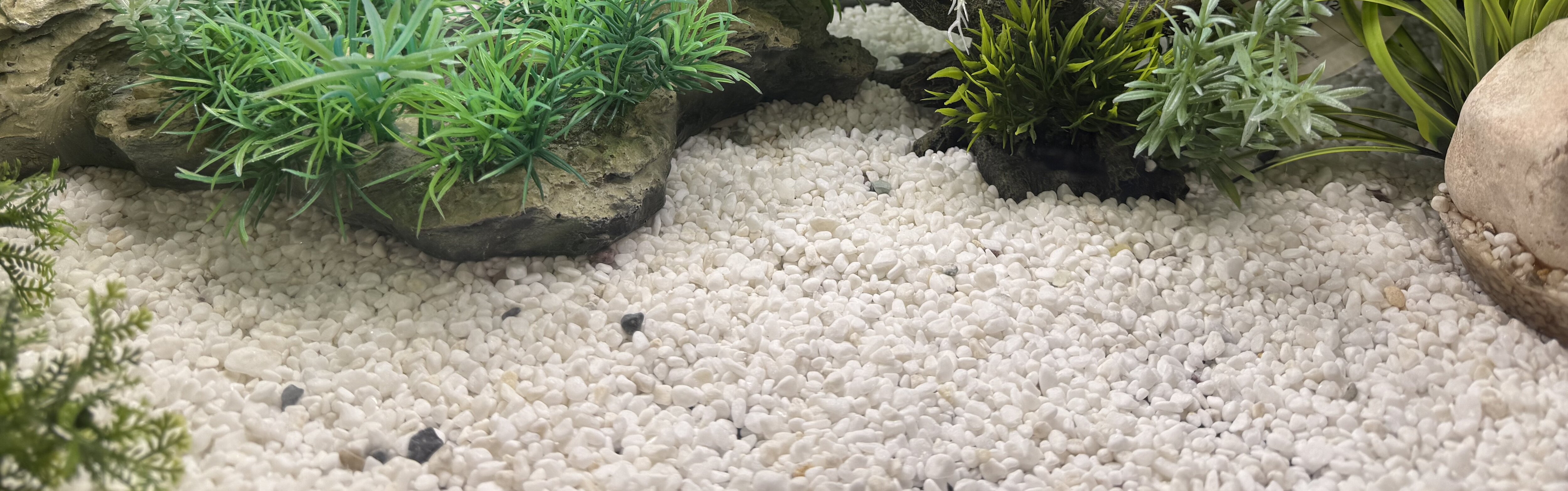 Akvariebotten med vitt grus 