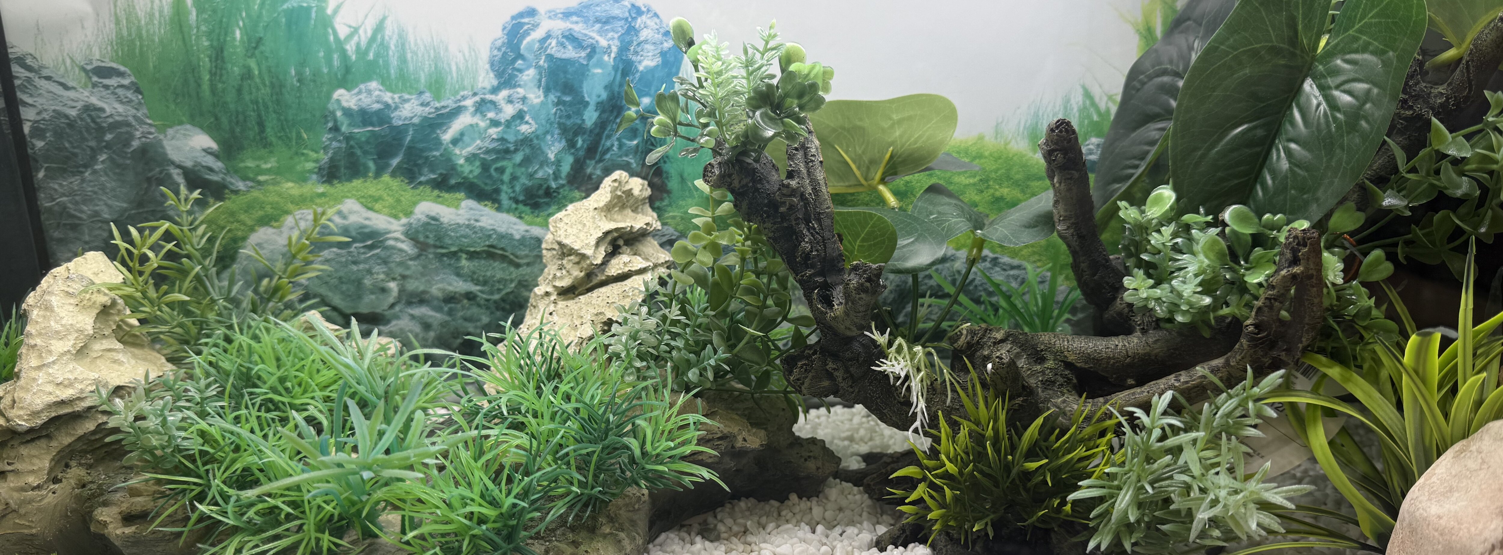 Akvariedekorationer - växter, stenar och rötter