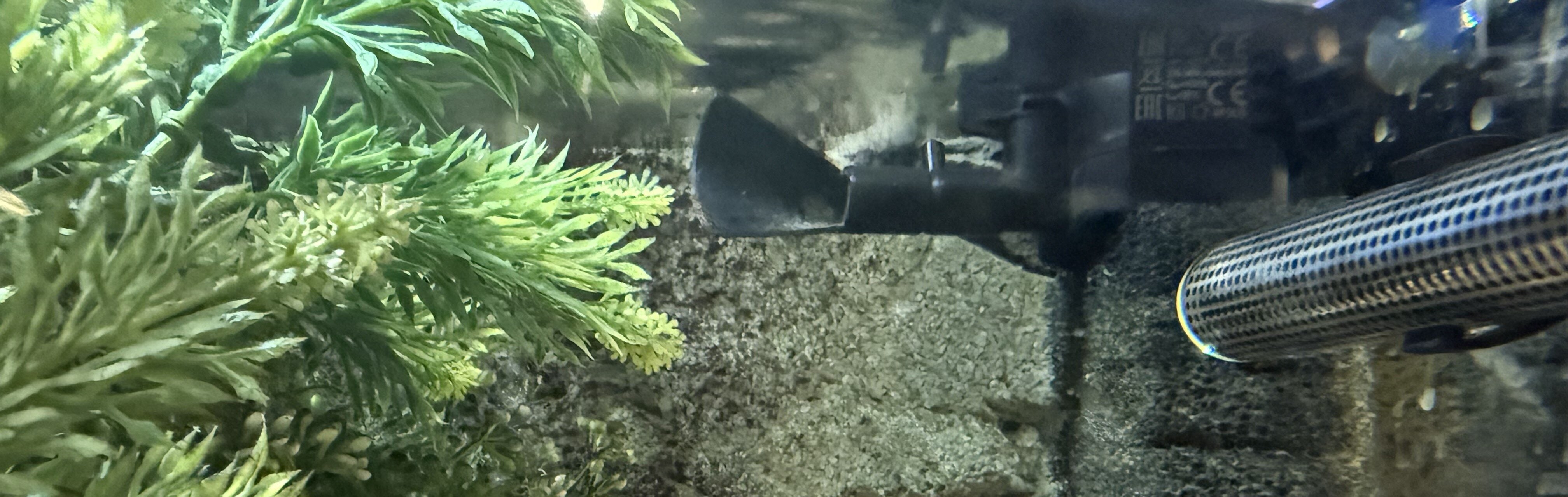 Akvariepump i akvarium