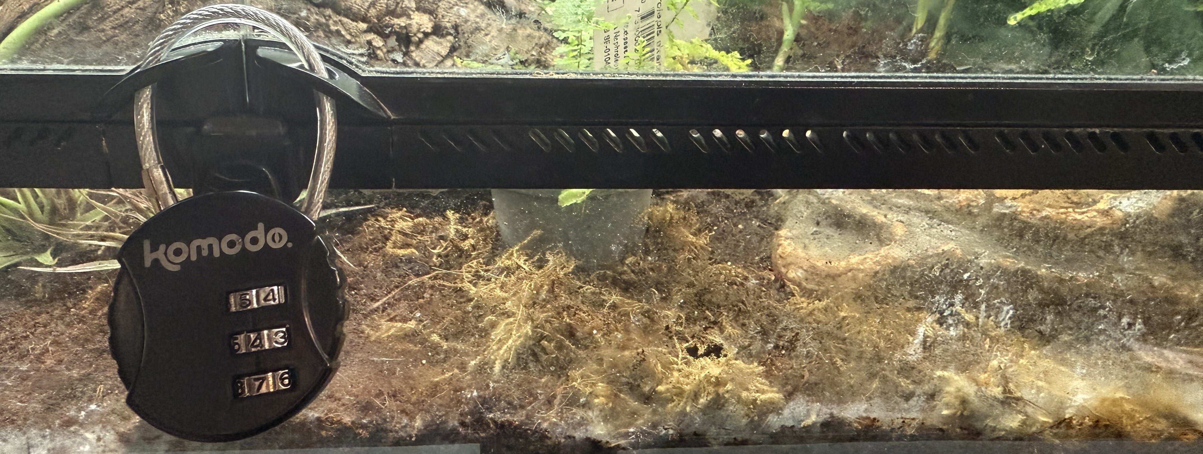 Hänglås på terrarium