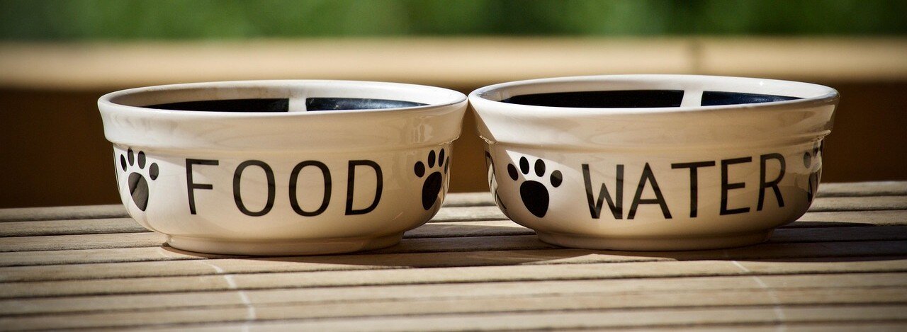 Två keramikskålar, ena med texten "Food" och den andra med texten "Water"