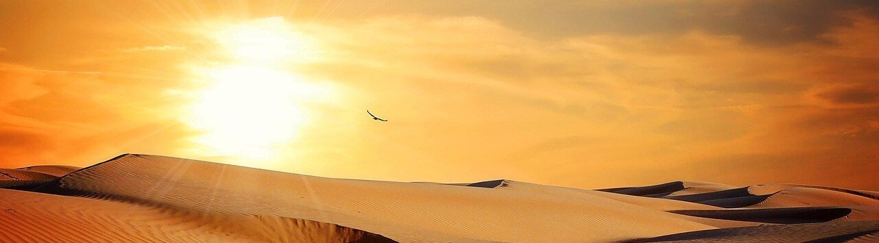 En varm och solig öken