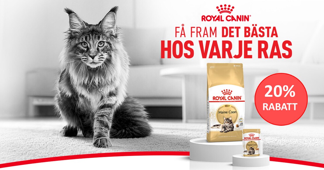 Royal Canin rasfoder för katt