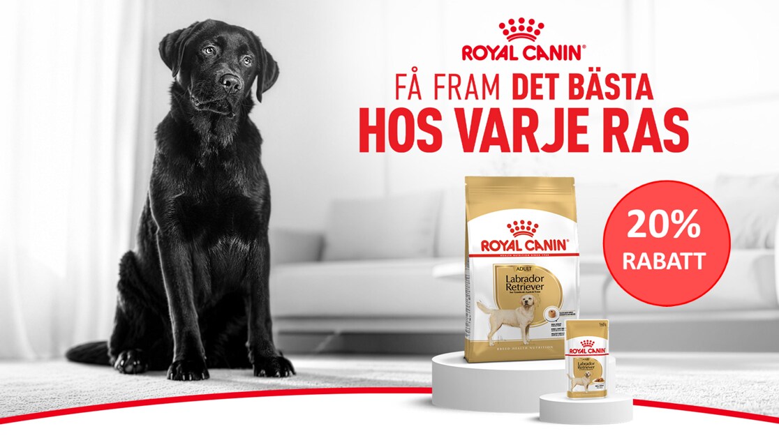 royal canin breed hundfoder