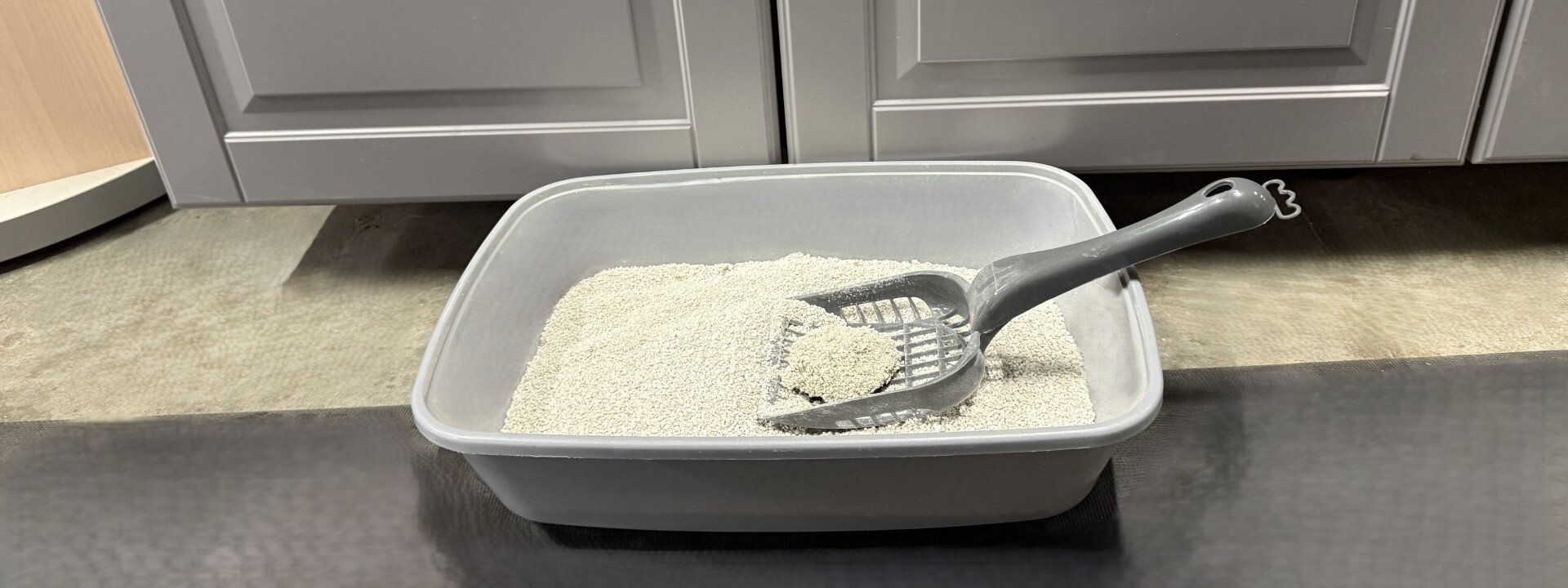 Kattlåda med sand och spade