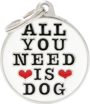 ID-bricka Charms "All You need is dog" M