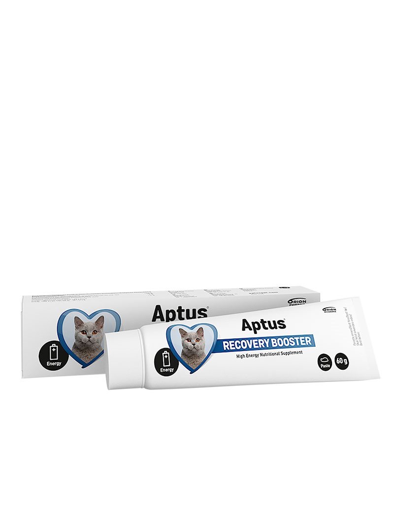 Aptus Recovery Booster Katt