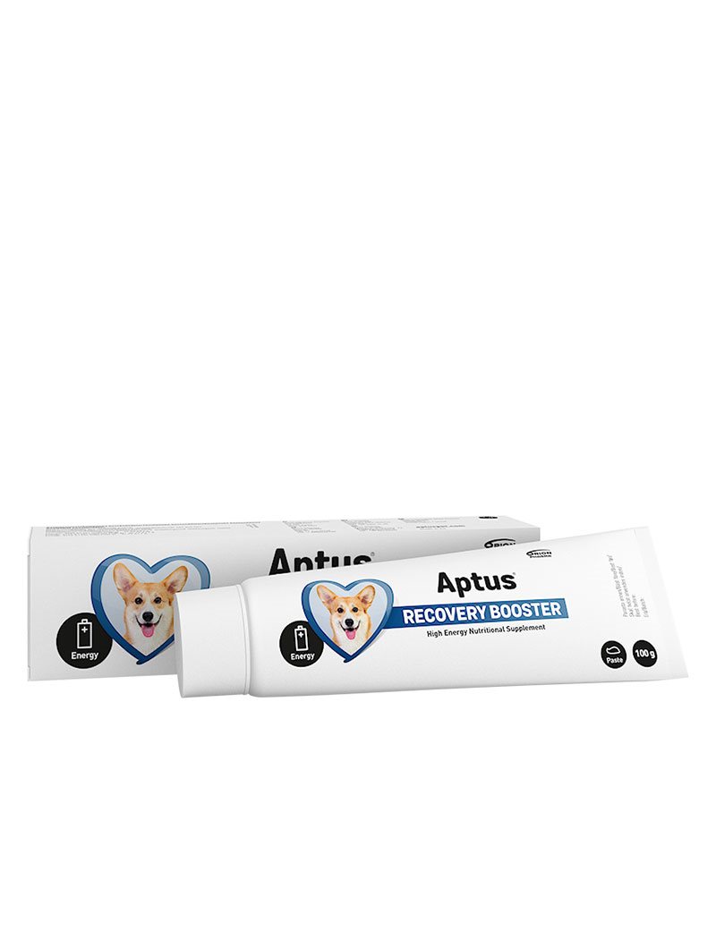 Aptus Recovery Booster Hund