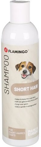 Schampo Short Hair 300ml