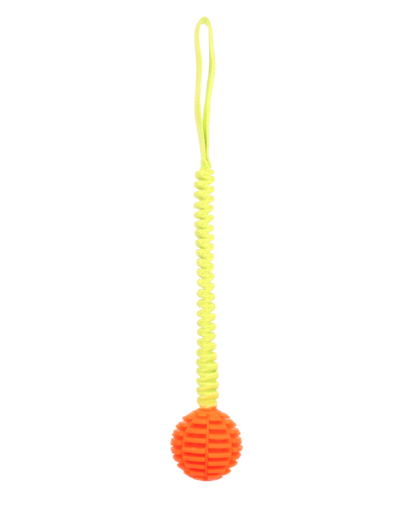 Flytande Boll Med Bungee 40cm