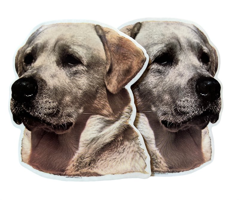 Dekal Hund medium 2-pack - Labrador Gul huvud