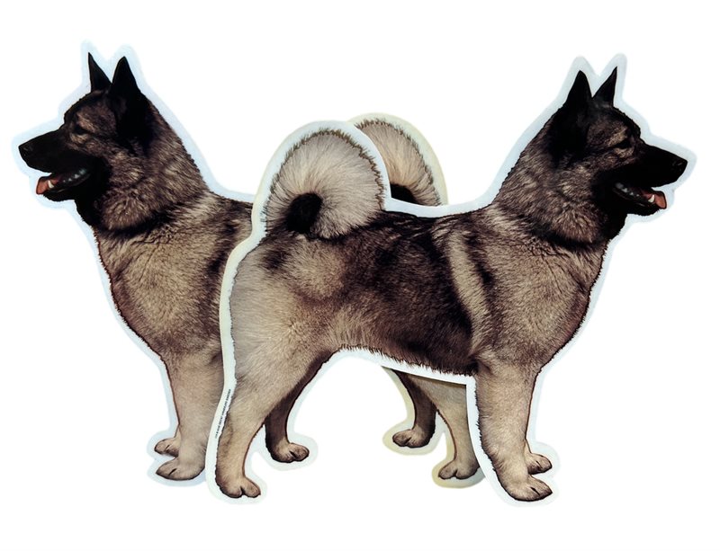 Dekal Hund medium 2-pack - Norsk Älghund helkropp