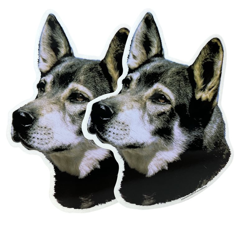 Dekal Hund medium 2-pack - Jämthund huvud