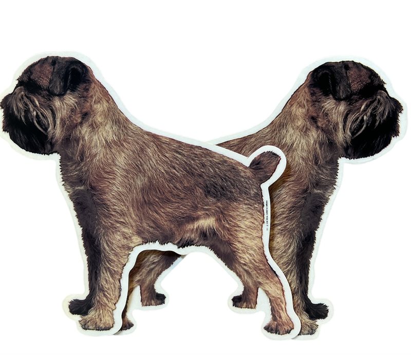 Dekal Hund medium 2-pack - Griffon Belge helkropp