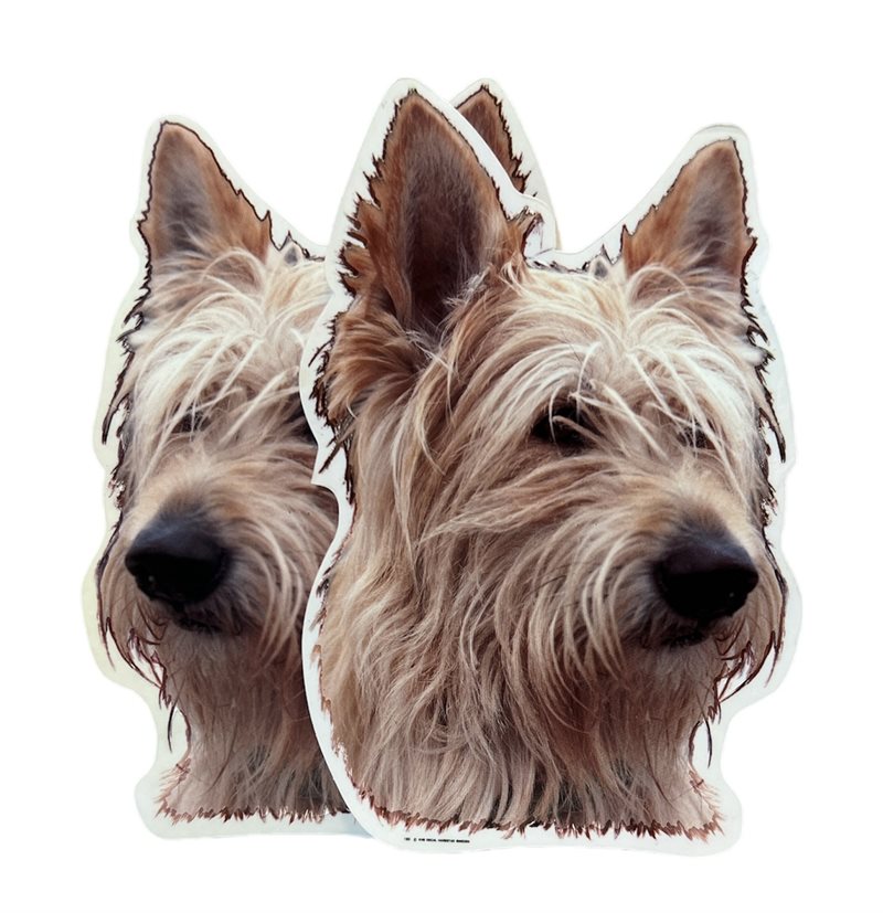 Dekal Hund medium 2-pack - Berger Picard huvud