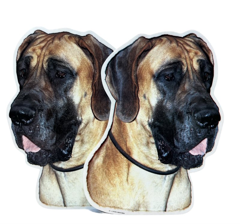 Dekal Hund medium 2-pack - Grand Danois Fawn huvud