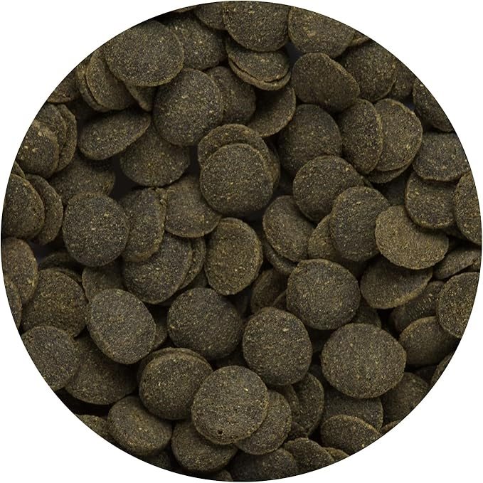 Hikari Mini Algae wafers 1000g