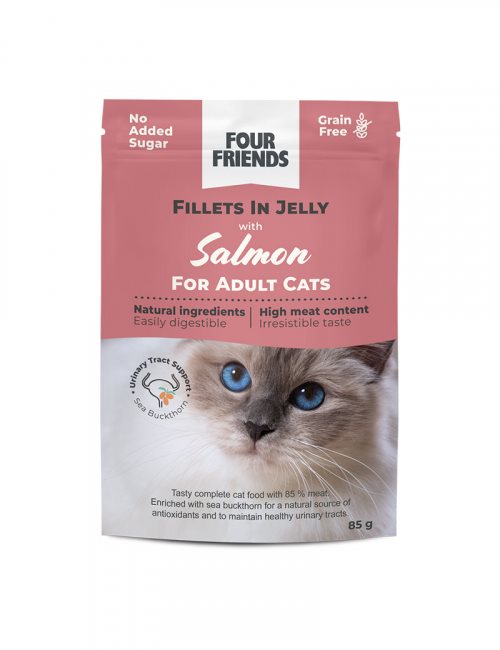 FourFriends Adult Salmon Jelly 85g