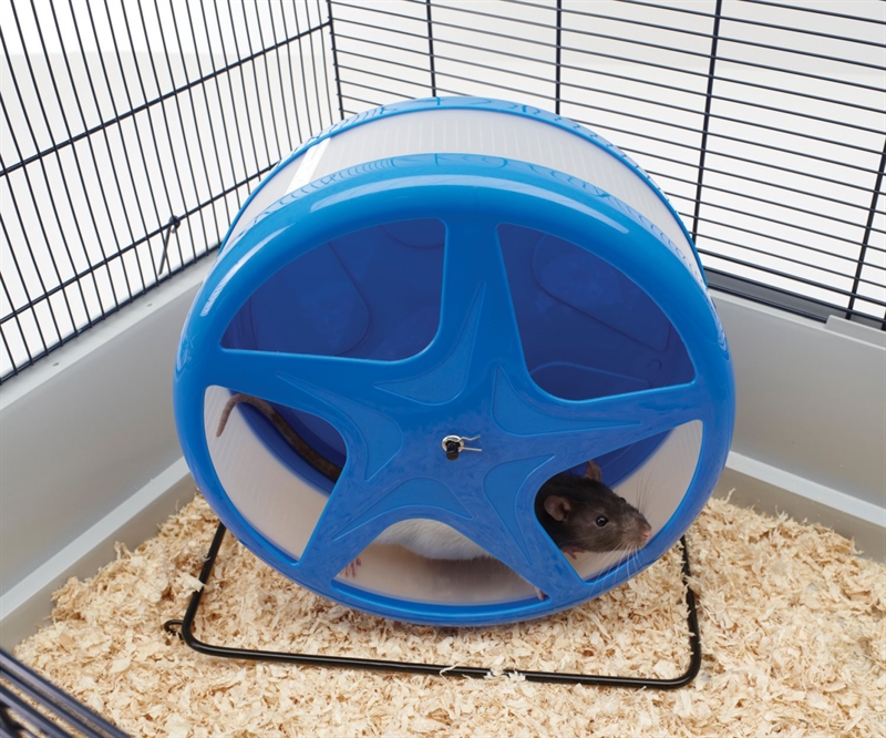 Hamster/råtthjul 27cm