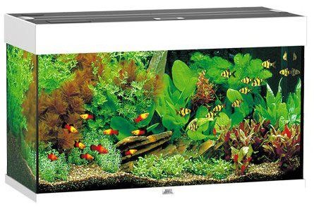Juwel Rio 125 LED Akvarium Vit