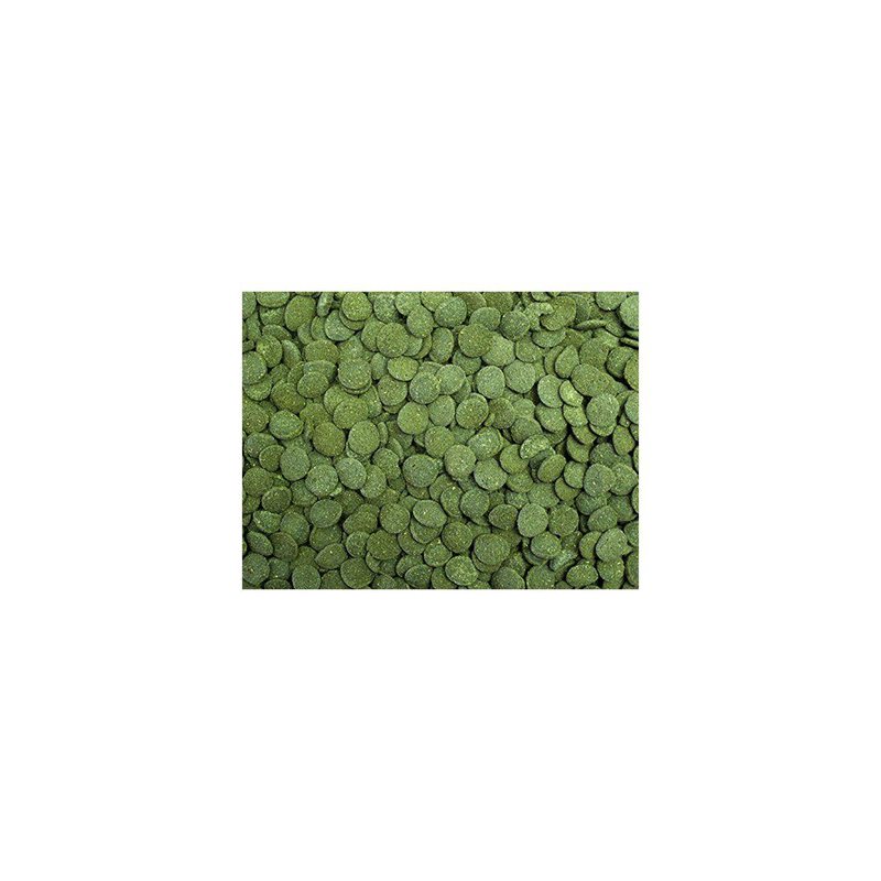 Tropical Algae Wafers 1kg