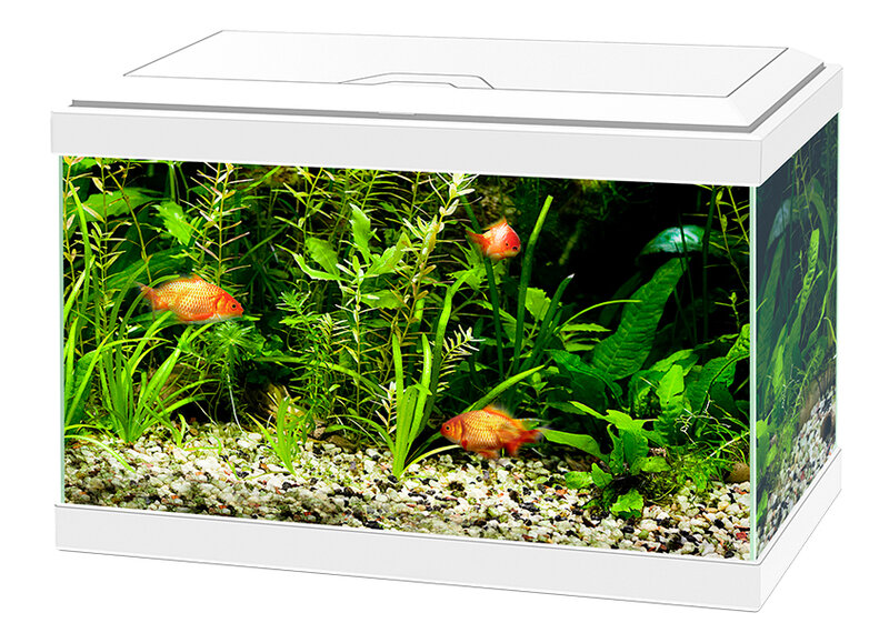 AKVARIUM-CIANO-20-LITER-VIT