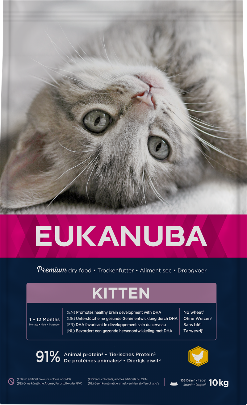 Eukanuba Cat Kitten Healthy start 10kg