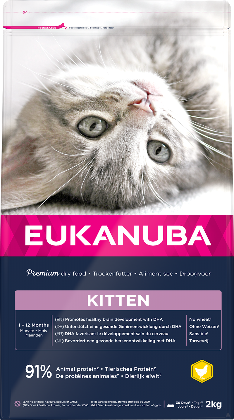 Eukanuba Cat Kitten Healthy start 2kg