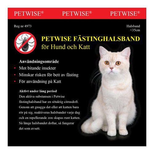 Fästinghalsband katt