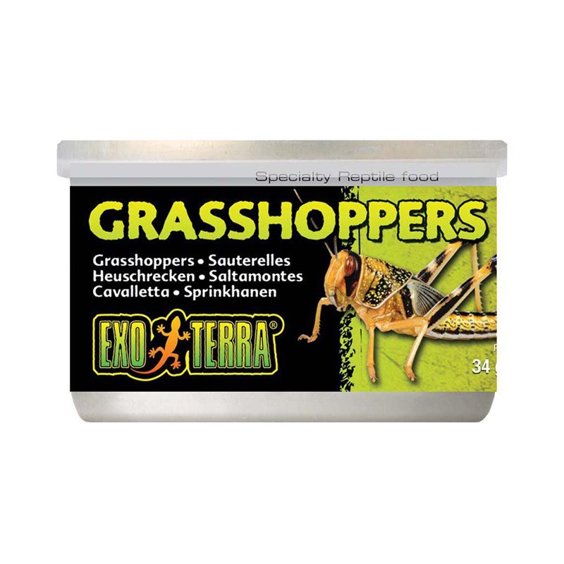 Konserverade Gräshoppor 34g