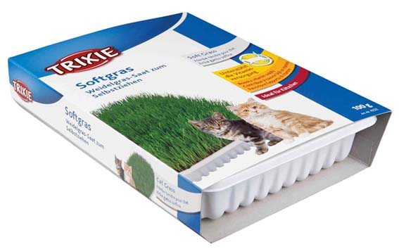 Kattgräs i låda vitaminberikad 100g