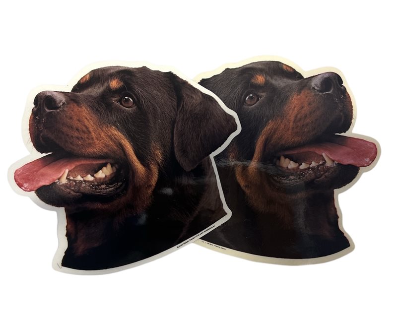Dekal Hund medium 2-pack - Rottweiler huvud 2
