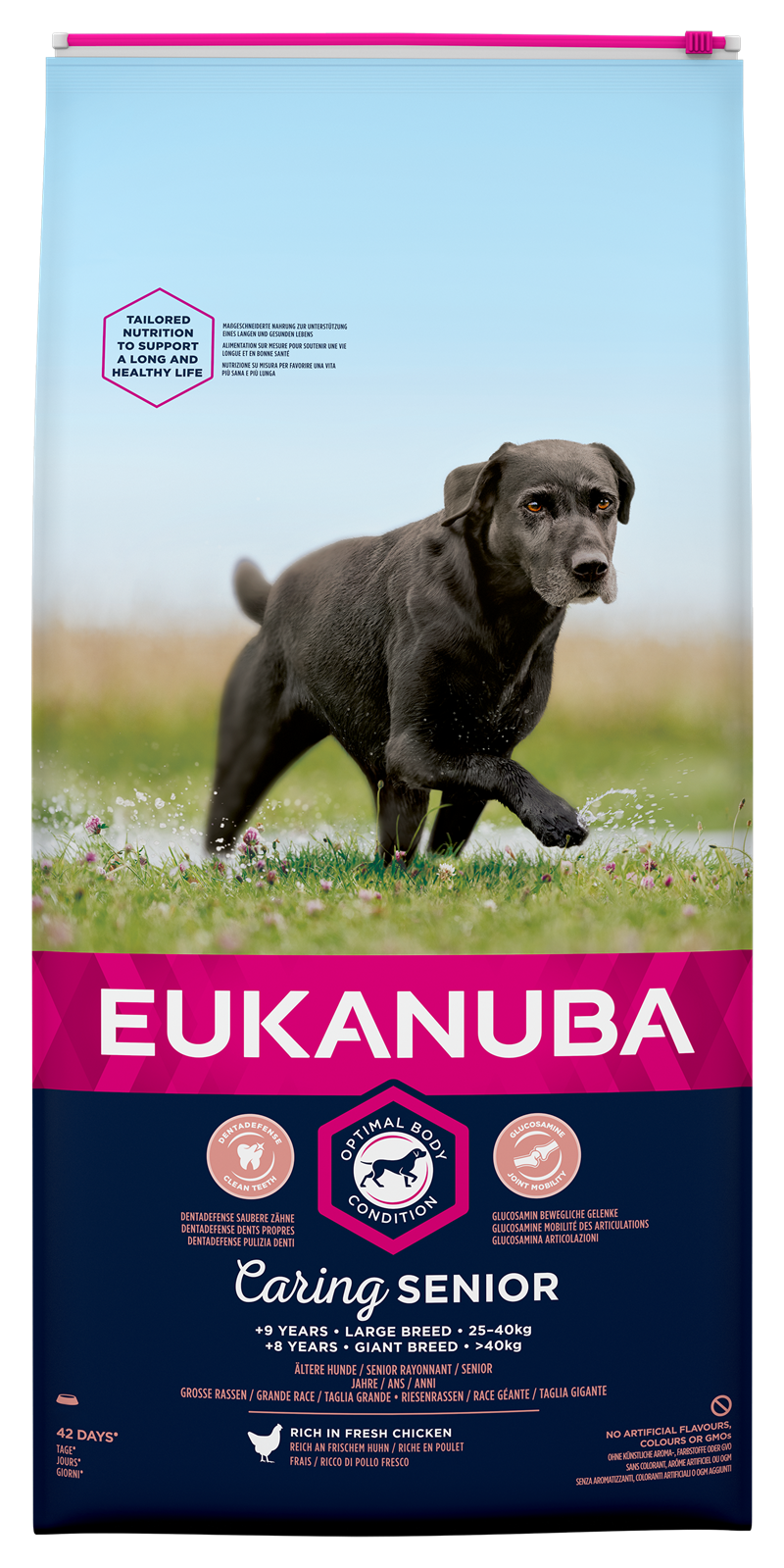 Eukanuba dog Senior large 15kg