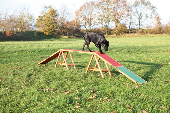 Agility ramp 4,56m lång