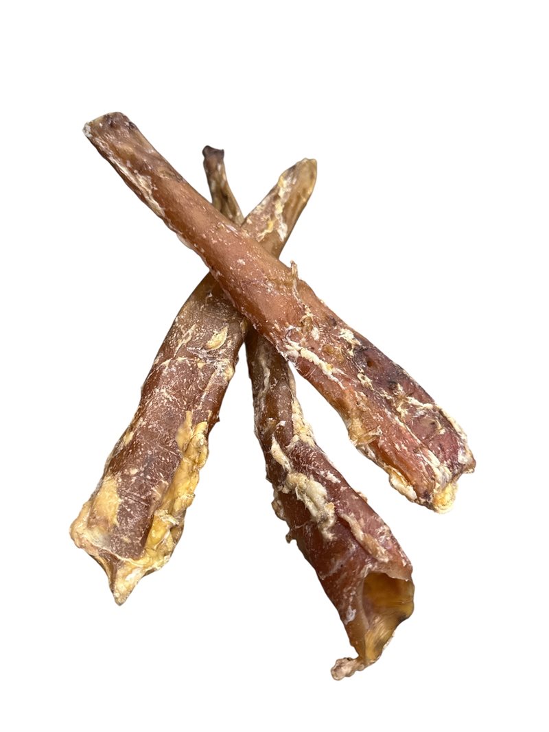 Aorta av ox/hg