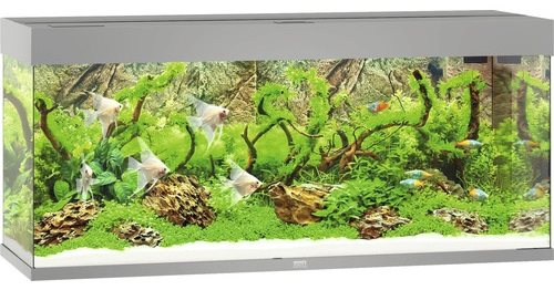 Juwel Rio 240 LED Akvarium Grå