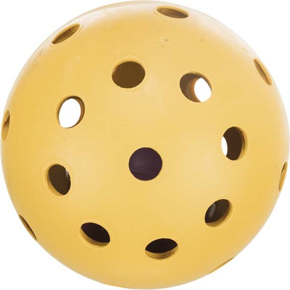 Boll med hål och pingla, passar synskadade hundar