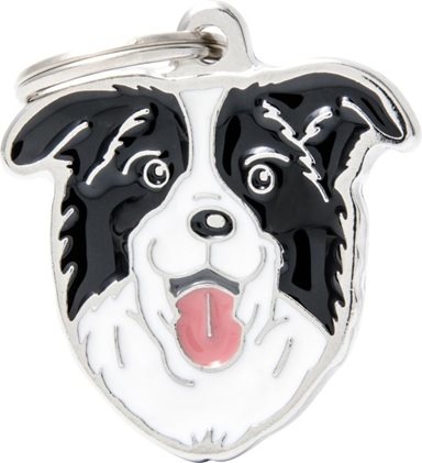 ID-bricka Border Collie