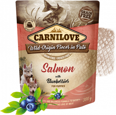 Carnilove Salmon & Blueberries for puppies 300g