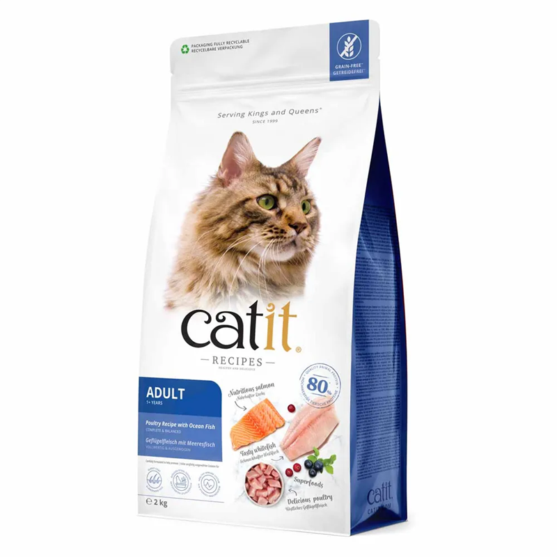 Catit Adult Fish 2kg