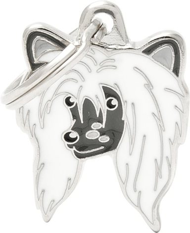 ID-bricka Kinesisk Nakenhund