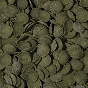 Tropical Green Algae Wafers 1kg