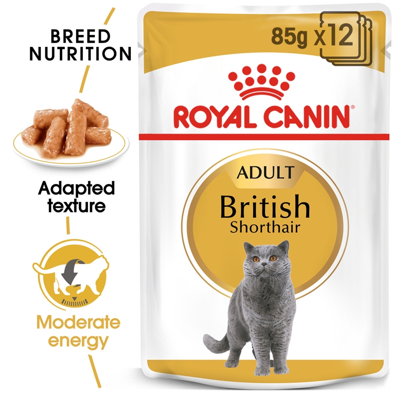 Royal Canin Våtfoder British Shorthair i sås 12x85g