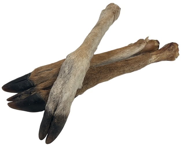 Emmzo Torkat Hjortben med klöv och päls 20-35cm
